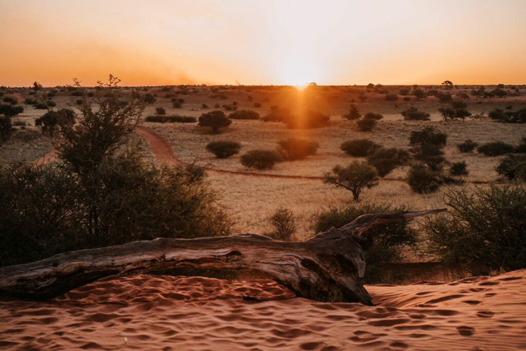 Rundreise Namibia